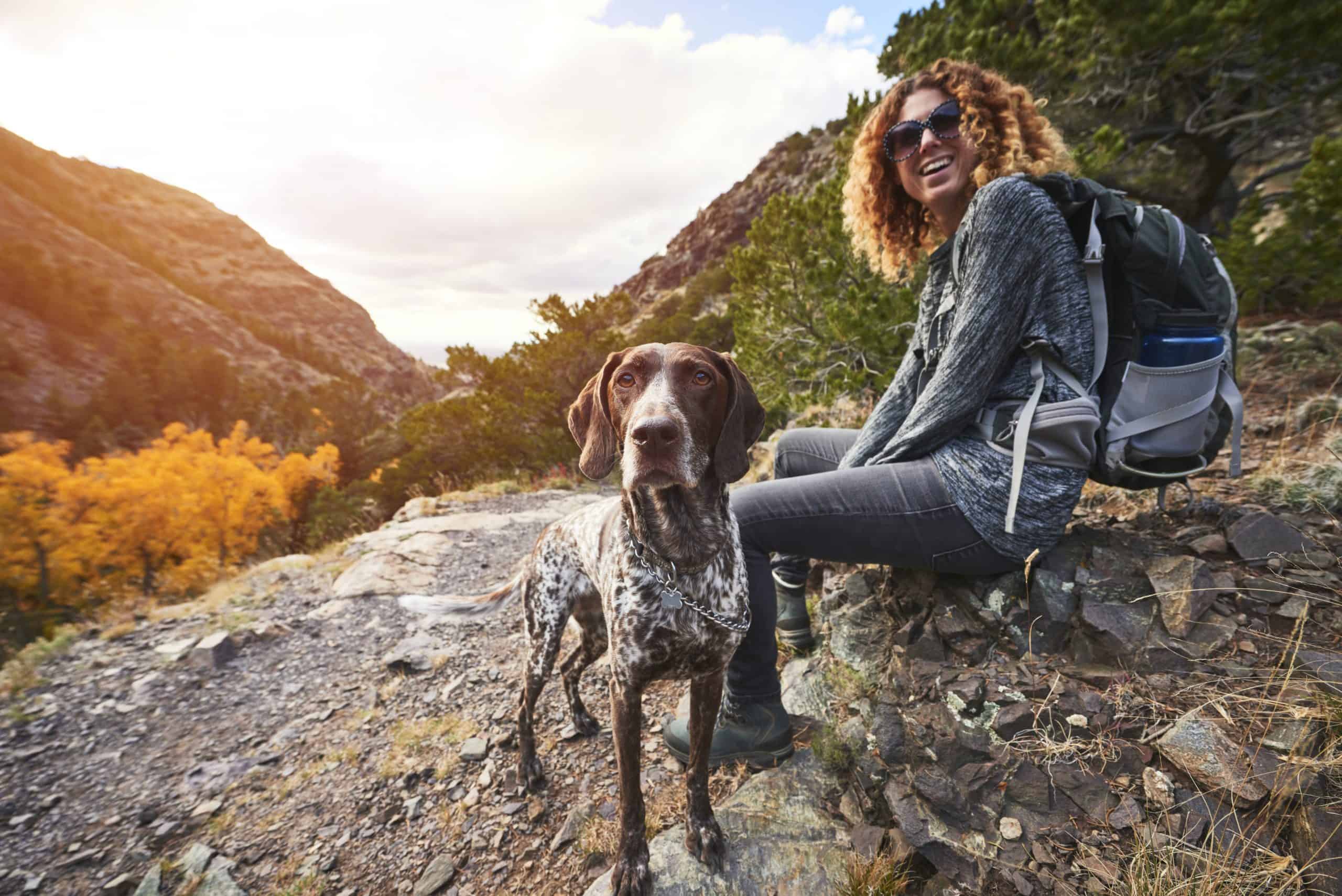 Day Hiking With Your Dog