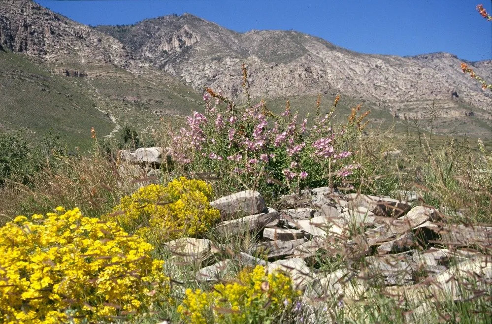 hiking in texas - guadalupe mountains national park