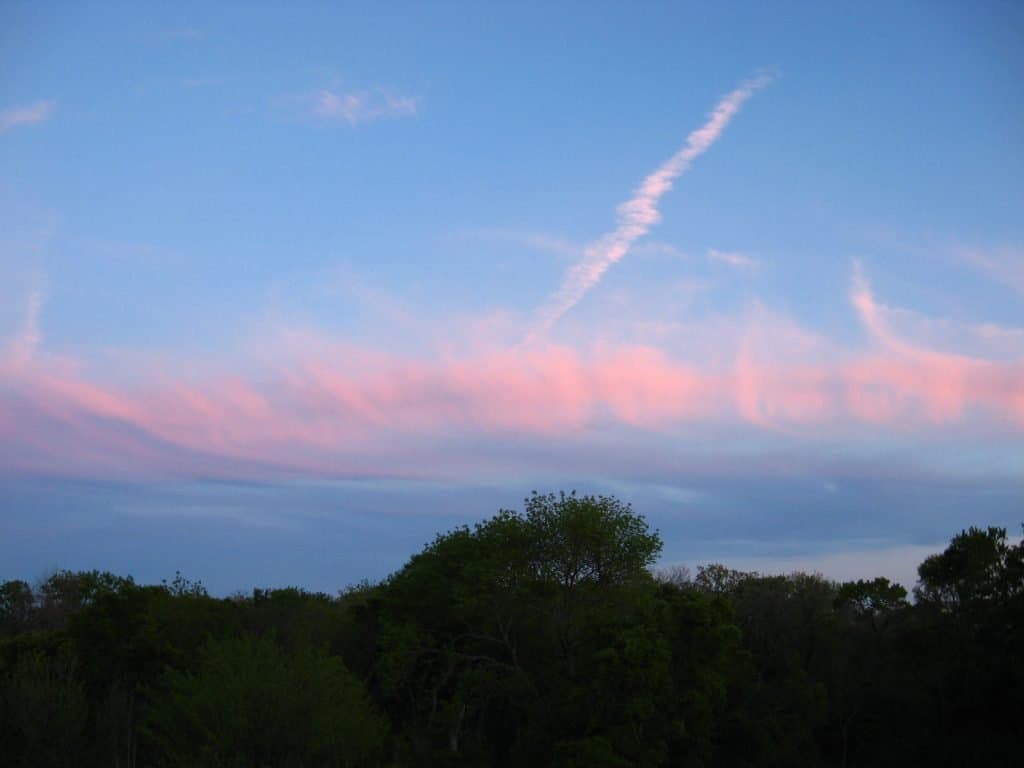 hiking in dallas - Arbor Hills Nature Preserve