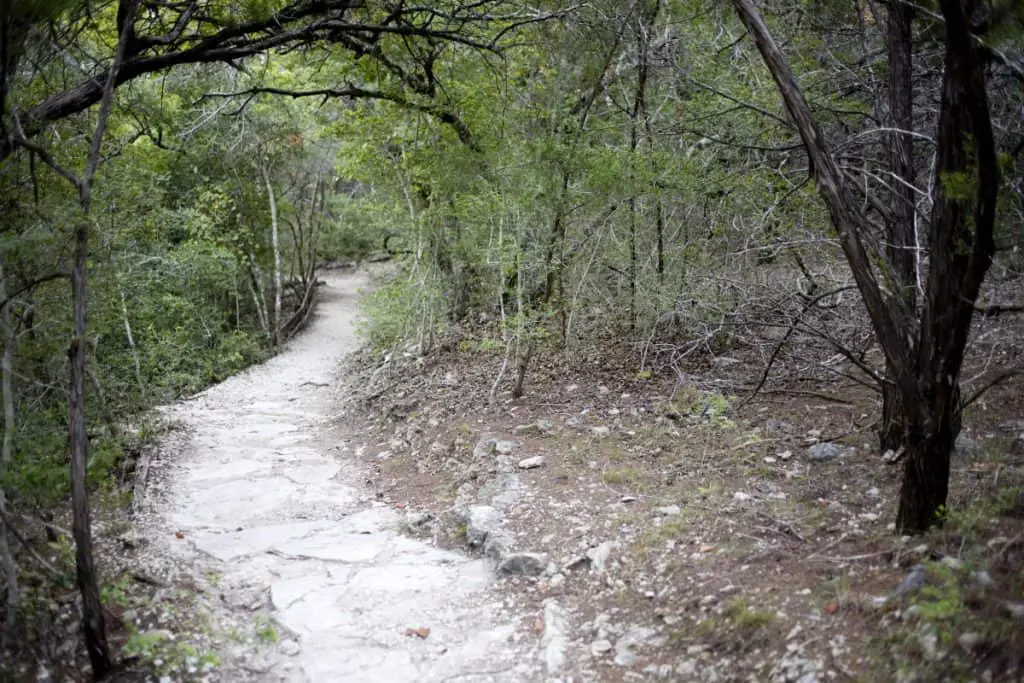 hiking in austin, tx - wild basin wilderness preserve