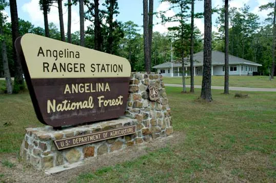best state parks in texas - angelina national forest