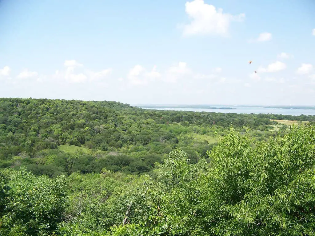 hiking in dallas - cedar ridge preserve