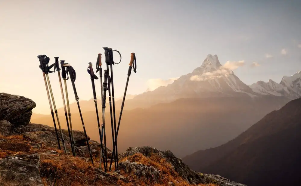 best budget trekking poles 2022