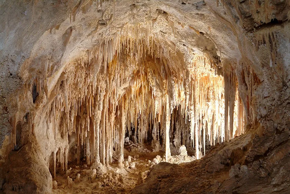 carlsbad caverns - best state parks in new mexico