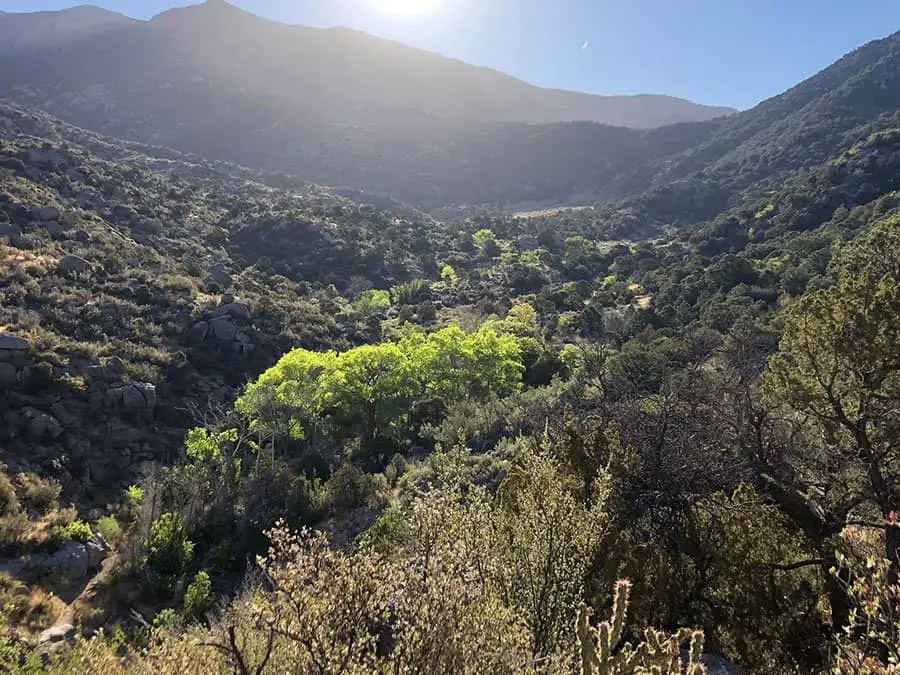 best hiking in albuquerque - embudo spring trail