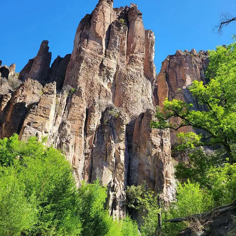 gila middle fork - hiking in new mexico