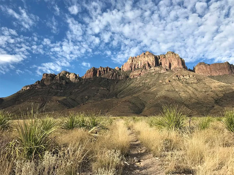 best hikes in big bend national park - juniper canyon trail