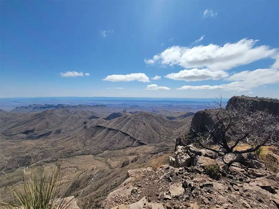 best hikes in big bend national park - laguna meadow