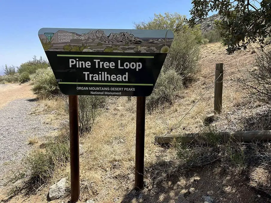 pine tree trail - hiking in new mexico