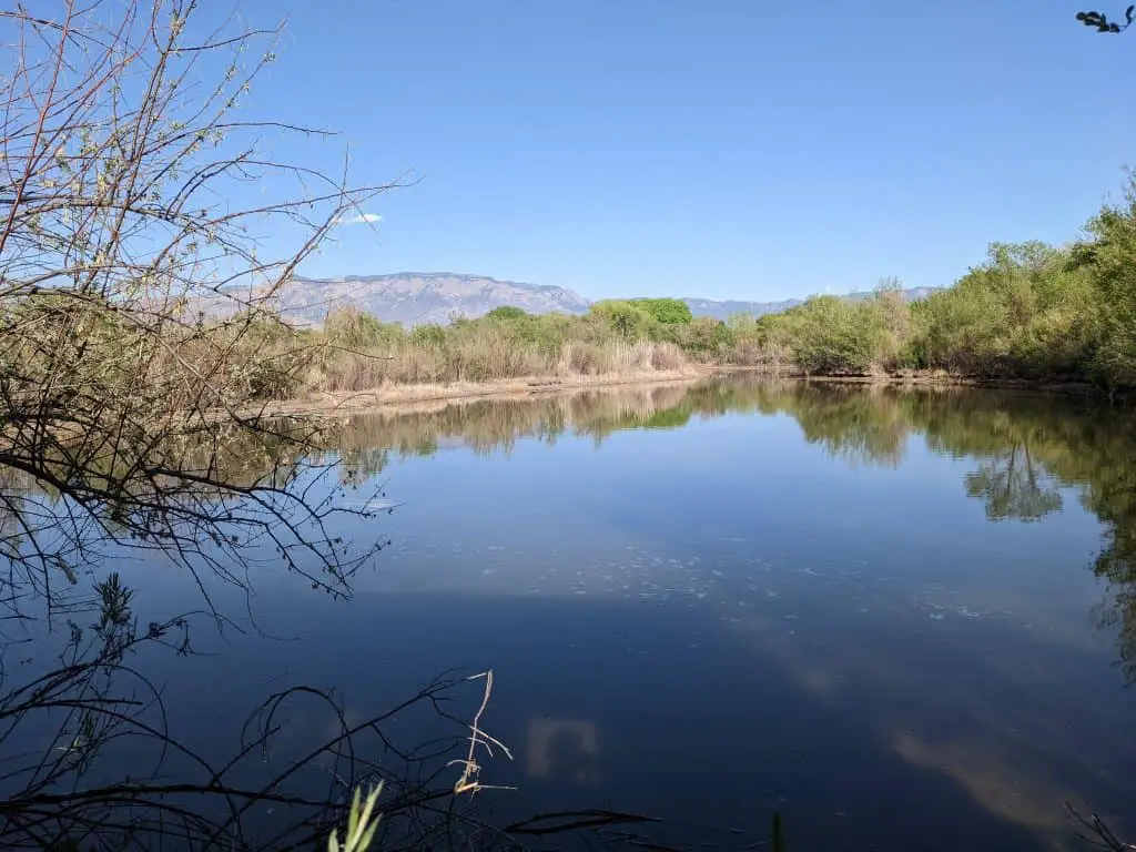 best hiking in albuquerque - bosque trail