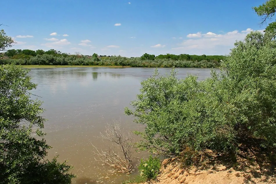 rio grande - best state parks in new mexico
