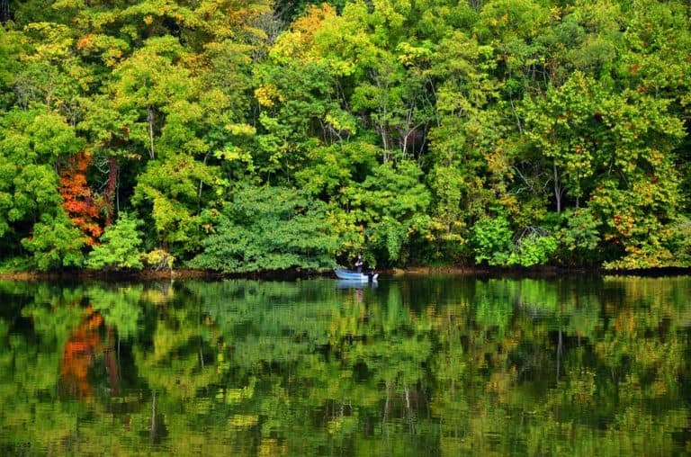 The 23 Best State Parks in Tennessee
