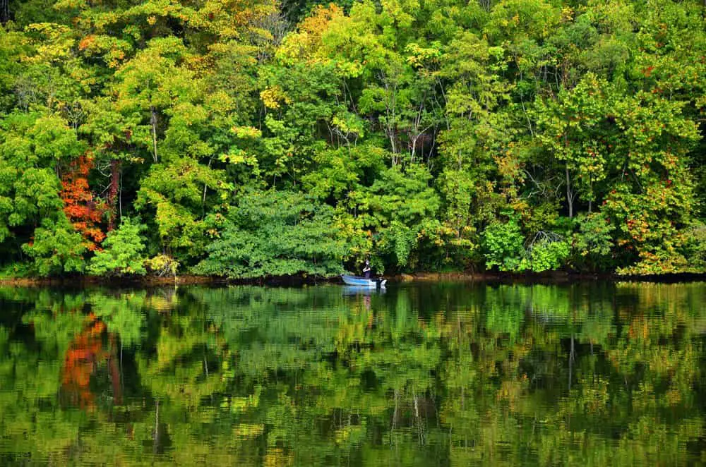 best state parks in tennessee