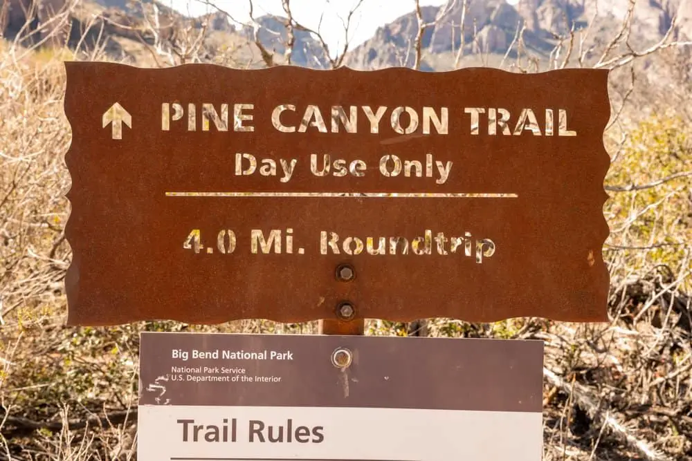 Is Big Bend National Park Safe? (2023) Hikers Daily