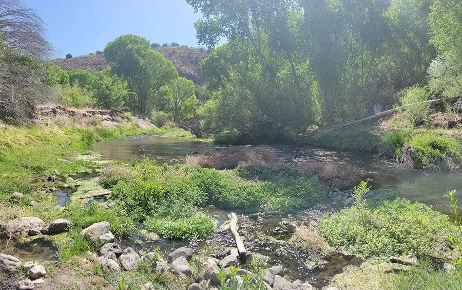 winsor trail - hiking in new mexico