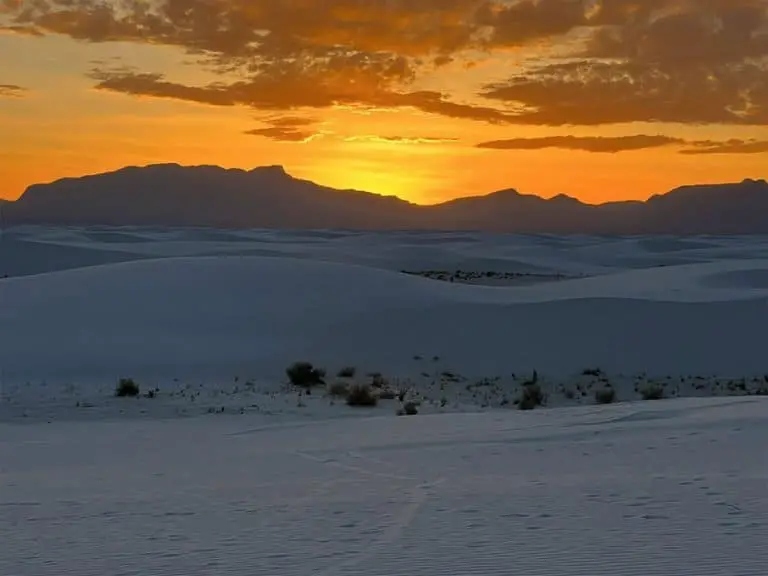 The 5 Best Hiking Trails In White Sands National Park - Hikers Daily