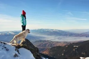 Can Dogs Get Altitude Sickness?