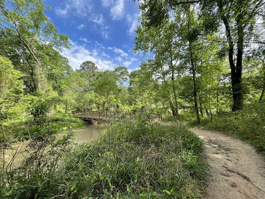 dog-friendly hiking trails in the woodlands - George Mitchell preserve