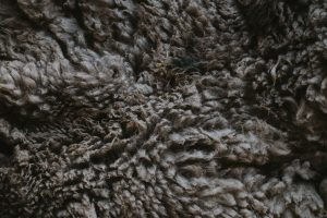 Does Merino Wool Shrink? (It Depends)