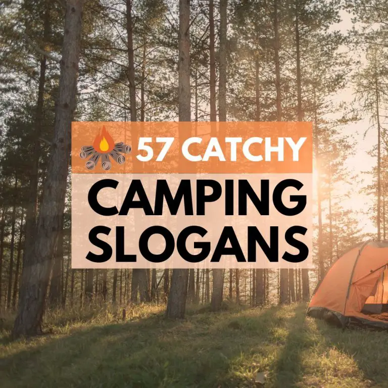 57 Super Catchy Camping Slogans