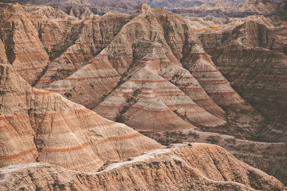 are dogs allowed in badlands national park