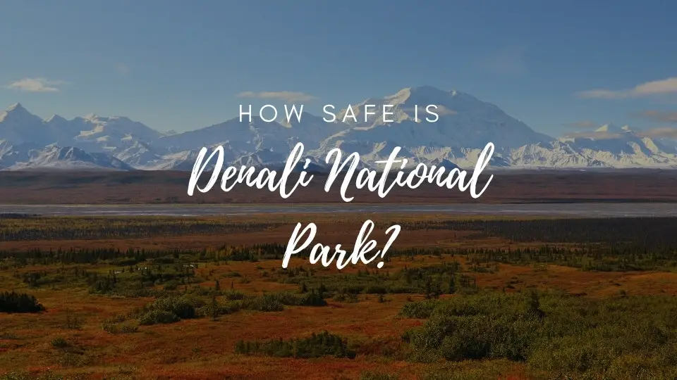 is denali national park safe