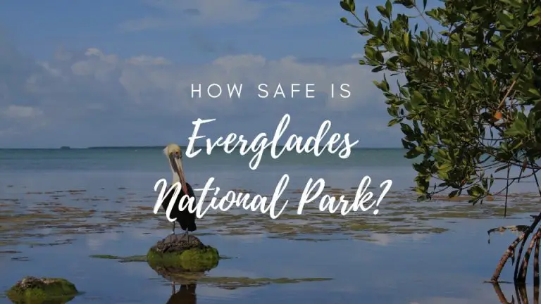 Is Everglades National Park Safe? (2023)