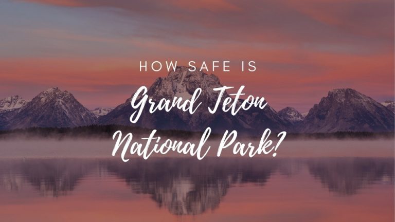 Is Grand Teton National Park Safe? (2022)