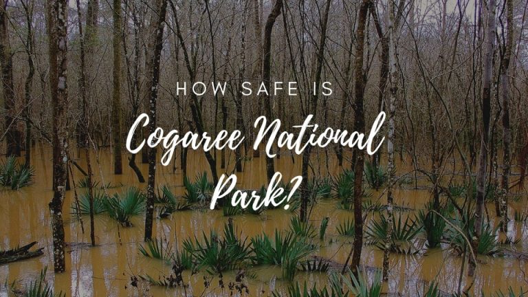 Is Congaree National Park Safe? (2022)
