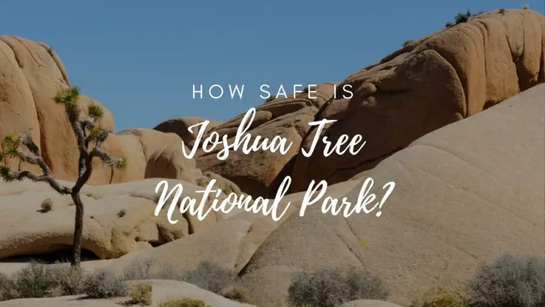 Is Joshua Tree National Park Safe? (2022)