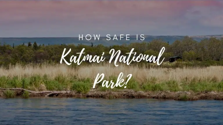 Is Katmai National Park Safe? (2022)