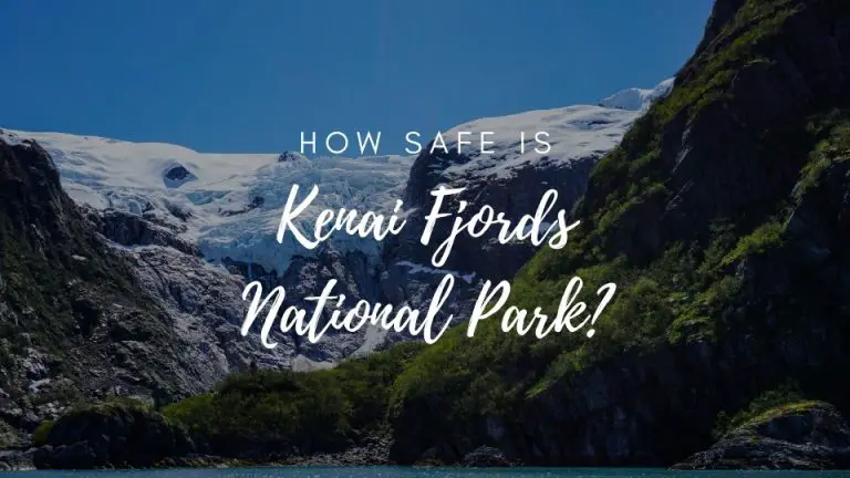 Is Kenai Fjords National Park Safe? (2023)