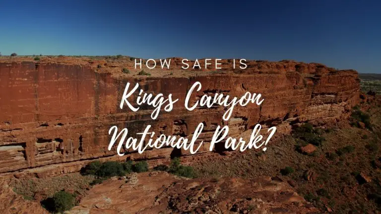 Is Kings Canyon National Park Safe? (2023)