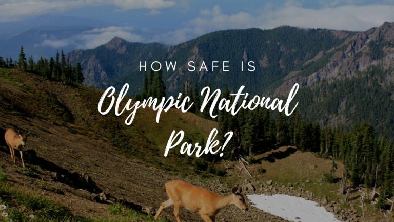 Is Olympic National Park Safe? (2022)
