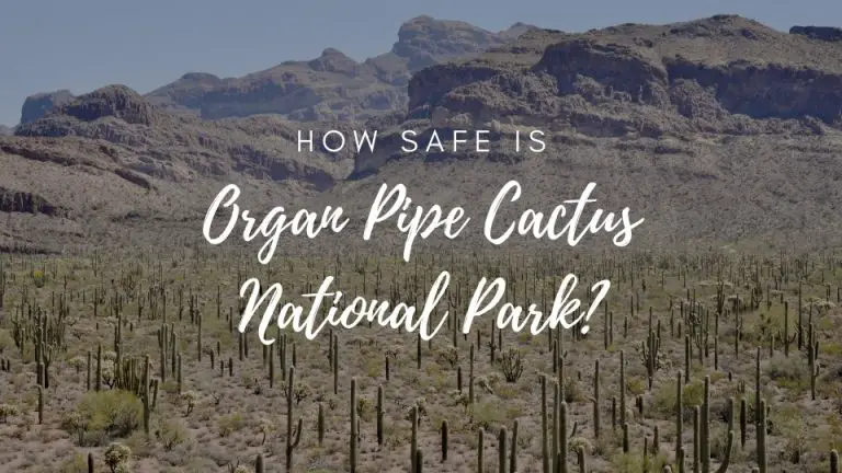 Is Organ Pipe Cactus National Park Safe? (2022)