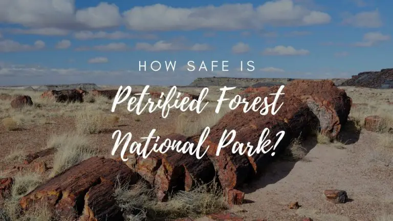 Is Petrified Forest National Park Safe? (2022)