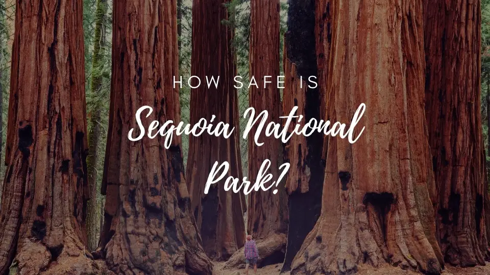 is Sequoia National Park safe
