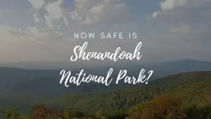 Is Shenandoah National Park Safe? (2023)