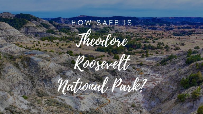 Is Theodore Roosevelt National Park Safe? (2023)
