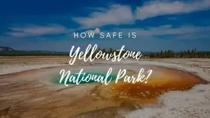 Is Yellowstone National Park Safe? (2023)