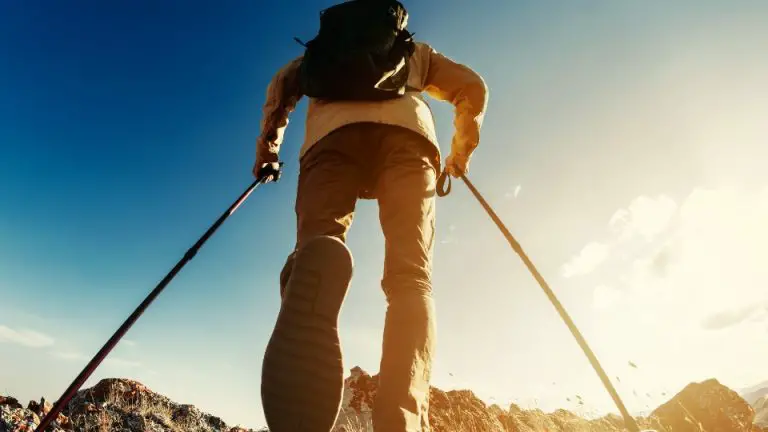 Hiking With One Pole Vs. Two Poles (Advantages & Disadvantages)