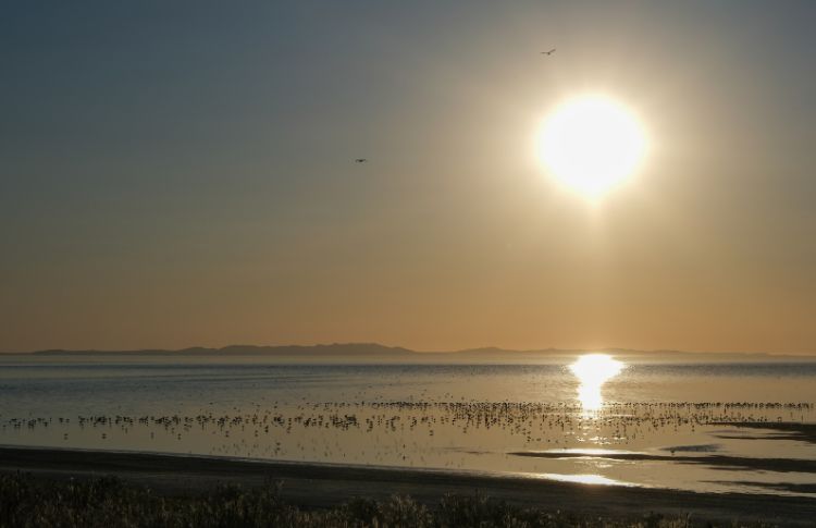 Antelope Island State Park