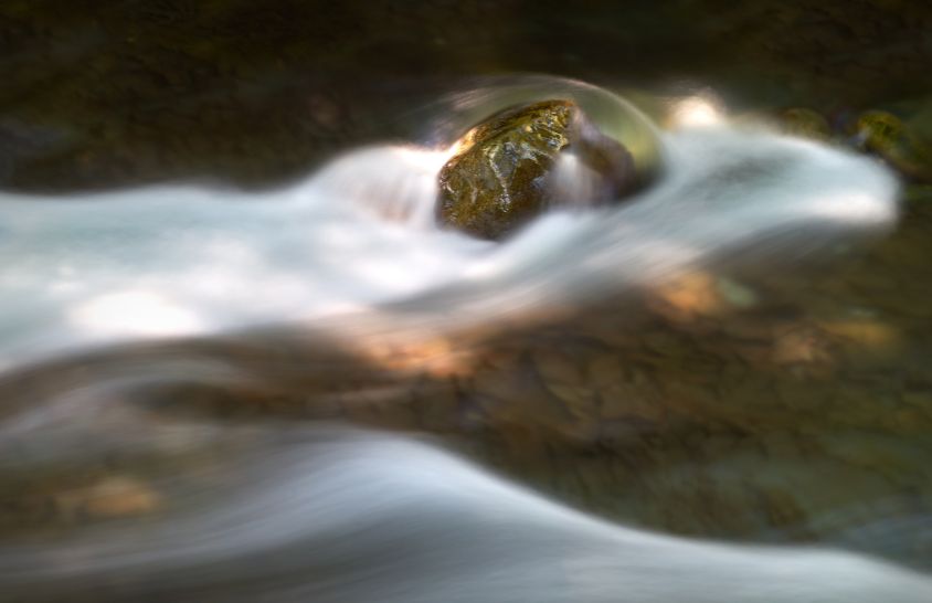 Brandywine Creek State Park