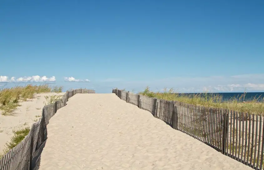 Cape Henlopen State Park