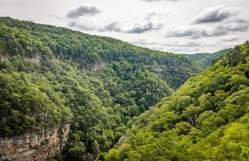 Cloudland Canyon State Park