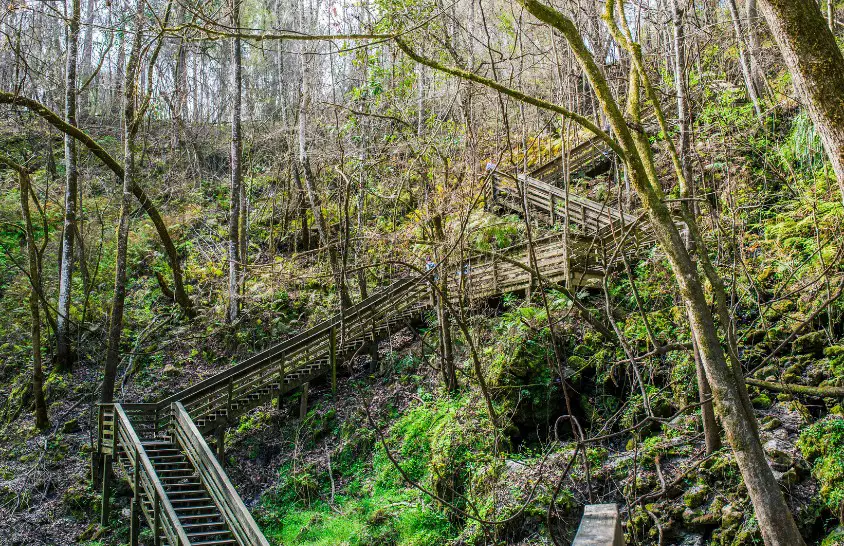 Devil's Millhopper Geological State Park