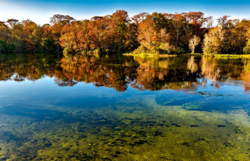 Edward Ball Wakulla Springs State Park