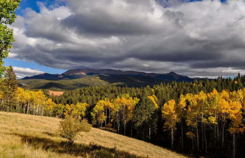 Mueller State Park