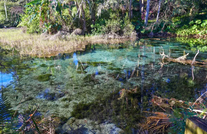 Rainbow Springs State Park