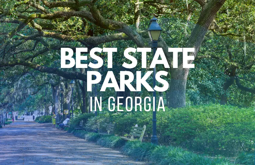 Best state parks in georgia